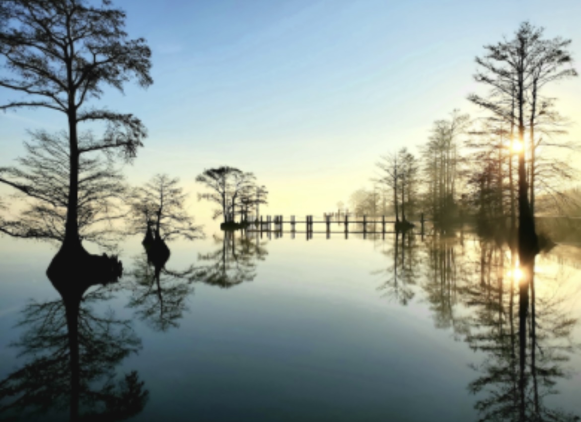 Sunrise over cypress trees on the water in Bertie County, NC